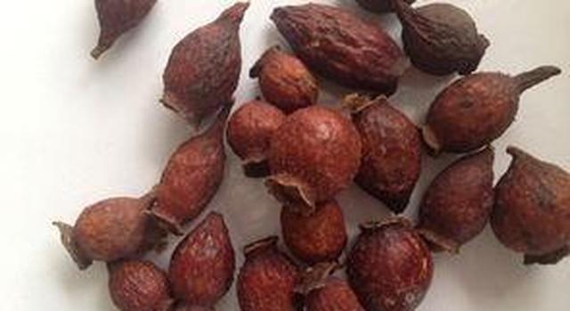 农村流行金樱子泡酒，怎样泡才正确的呢？