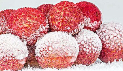 荔枝冷冻了还能吃,荔枝怎么冰冻好吃荔枝冻了还能吃吗?图2