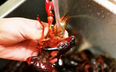 ​小龙虾怎么做好吃又简单（家常小龙虾最简单做法）