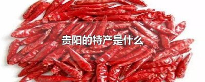 ​贵阳的特产有哪些小吃 贵阳的特产有哪些东西