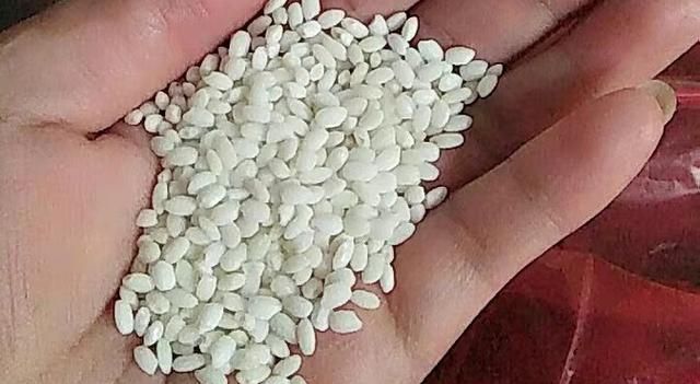 江米和糯米一样吗 ，粳米和糯米江米是一样的吗？图5