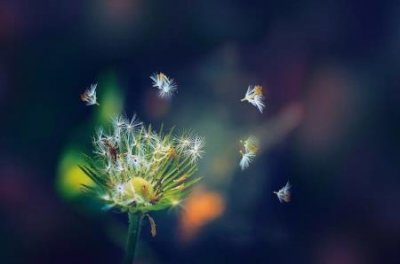 ​实木和密度板怎么样区分密度板多层板是否一样与实木分别