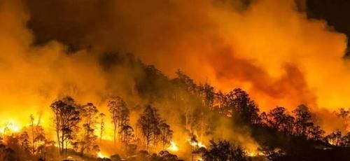 澳大利亚形成山火的气候原因