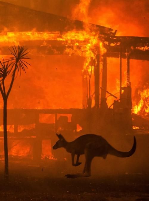 用地理知识解释澳大利亚为什么会发生火灾