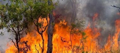 ​澳大利亚的火灾的原因，澳大利亚的火灾是引起频频地震的原因吗？