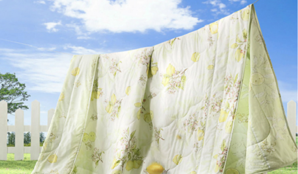 晒好的被子如果落了灰尘最好,晒好的被子如果落了灰尘,怎么办?图3