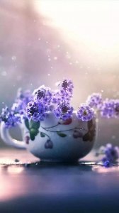 ​看不起你的人，往往有这三个表现