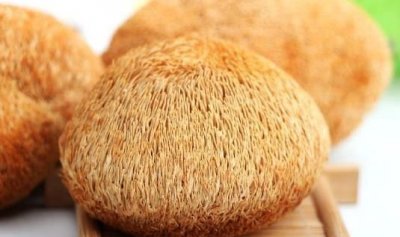 ​干猴头菇怎么吃，干猴头菇怎么炒好吃？