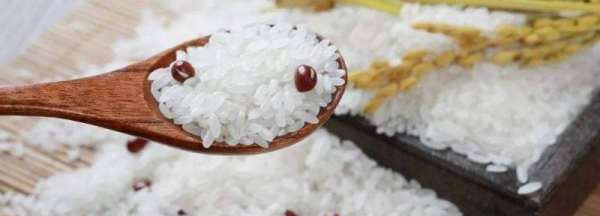 米里有白色蠕虫怎么办,大米生白虫怎么办小窍门图2