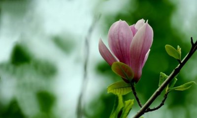 ​放在黑名单不删的心态，只拉黑不删除你的女人