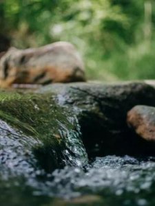 ​108是什么意思(108颗佛珠的含义)