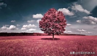 ​八珍丸的功效 聊一个中成药，补气又补血