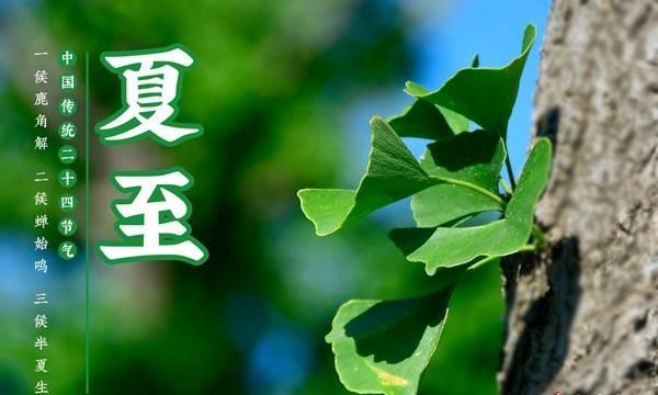 夏至日是几月几日:夏至是几月几日