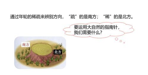 寻找大自然中天然的指南针可以在什么地方寻找