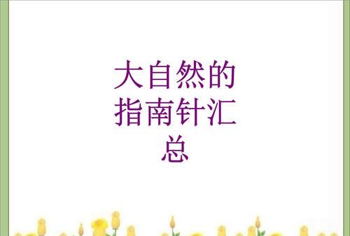 大自然中有哪些天然的指南针仿写