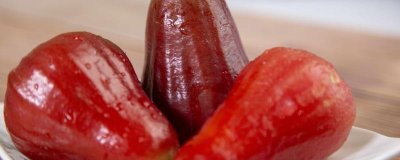 ​莲雾怎么种植莲雾的种植方法