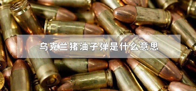 乌克兰猪油子弹是什么意思