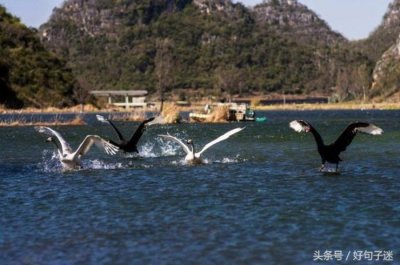 ​暖心写给爸爸的短句（写给父亲的简短的话语）