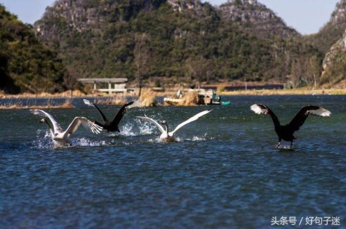 暖心写给爸爸的短句(写给父亲的简短的话语)