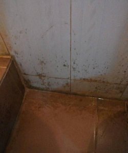 ​厕所瓷砖上的污垢怎么去除，厕所地面和瓷砖污垢怎么去除妙招？