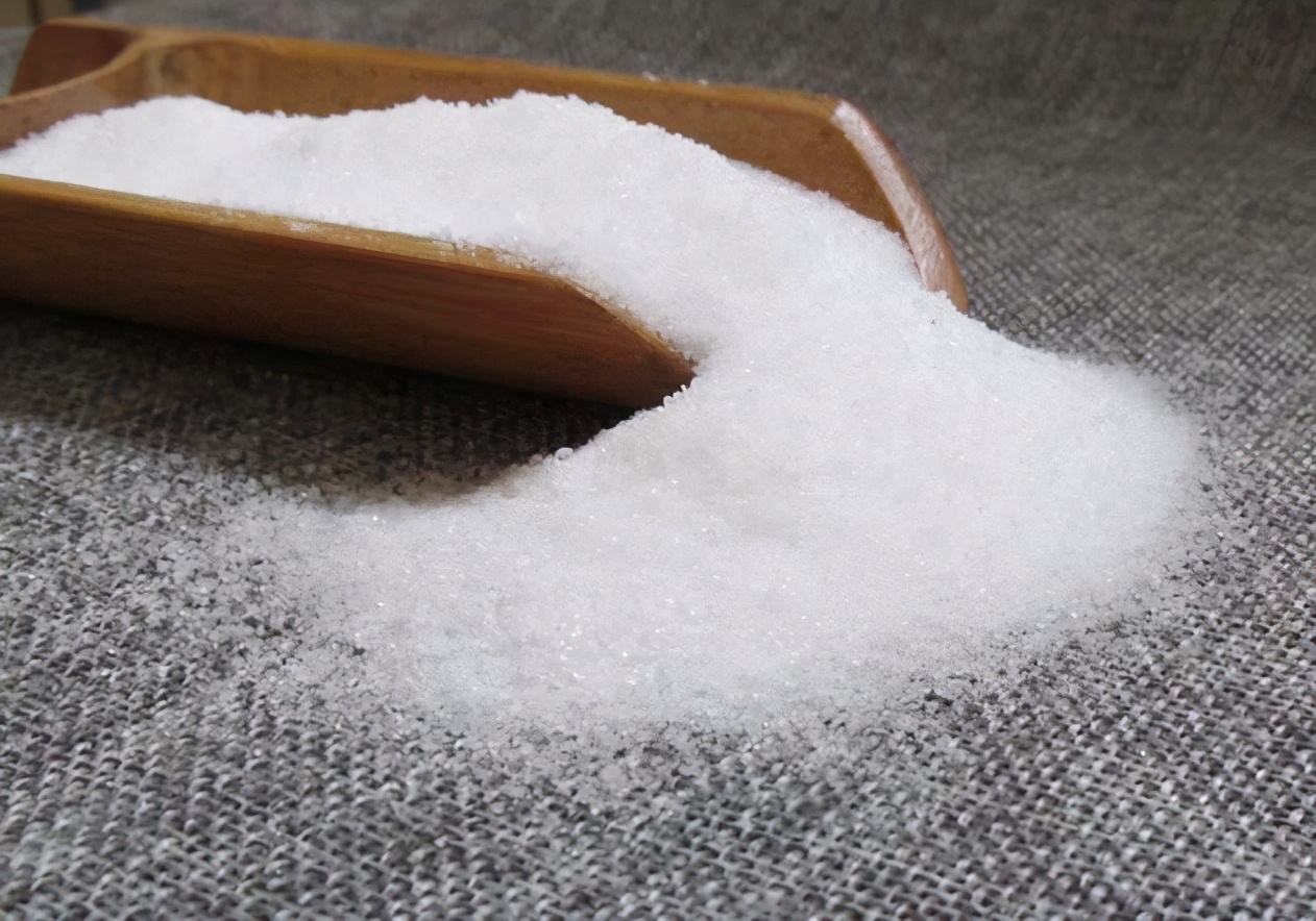 狗不能吃的东西(详解狗狗的饮食注意事项)