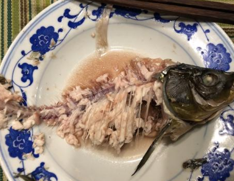 狗不能吃的东西(详解狗狗的饮食注意事项)