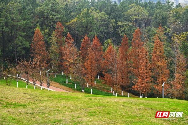 4.08年奥运会主会场—沙湾公园；