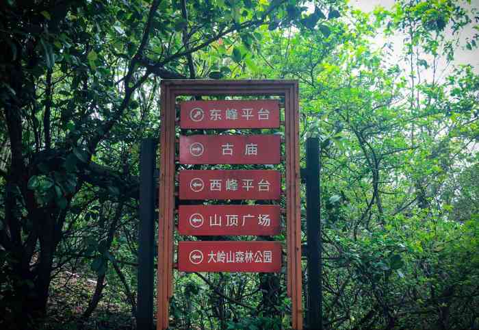 2、莲花山国家级森林公园