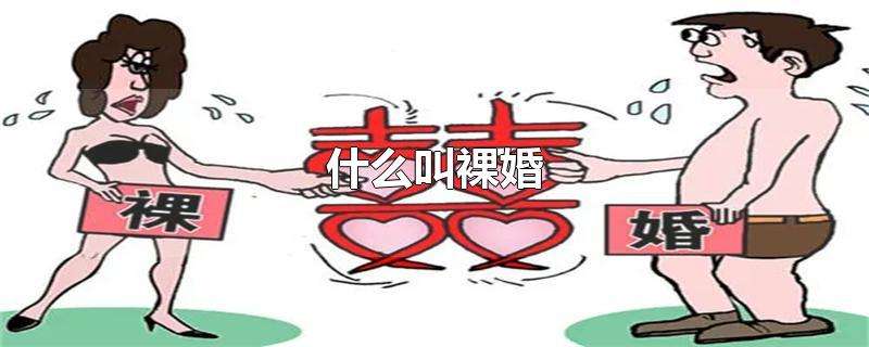 什么是裸婚? 裸婚什么意思