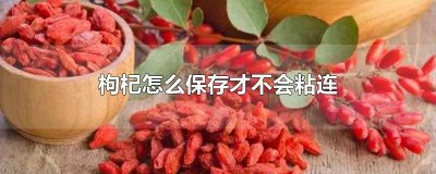 ​枸杞怎样放才不会粘在一起 红枸杞怎么存放才不会粘