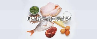 ​哪些属于蛋白质食物