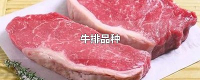 ​牛排品种