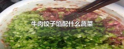 ​牛肉饺子馅配什么蔬菜