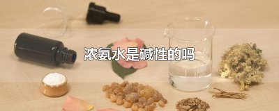 ​浓氨水是碱性的吗