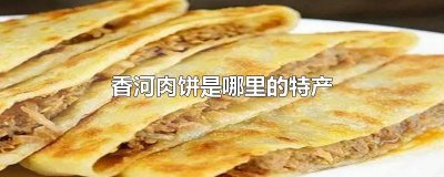 ​香河肉饼是哪里的特产