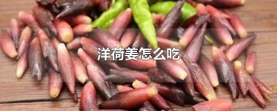 ​洋荷姜怎么做菜吃 洋荷姜怎么做好吃