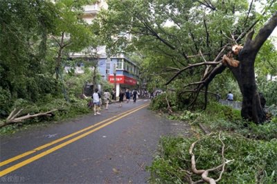 ​台风“天兔”：跨越时空的风暴力量