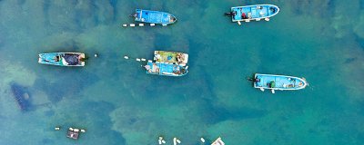 ​海洋馆买的水母怎么养 怎么知道水母饿了