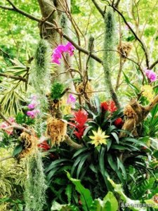 ​【云南旅游必收藏！10大5A景区全攻略】走遍滇境精华，一篇搞定！