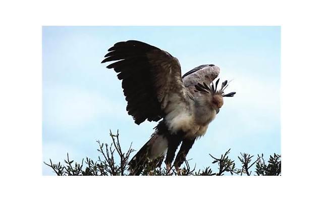 外遇调查,外遇调查公司 外遇调查,外遇调查公司