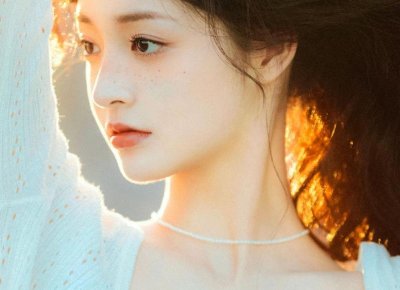 ​国内精神分析学派