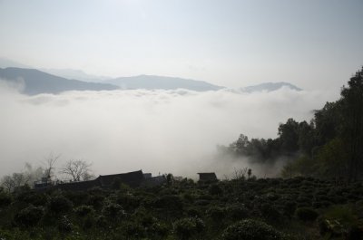 ​哀牢山，蛮荒之谷