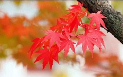 ​普通人如何成为有钱人，有什么方法途径，如何快速达到目标！