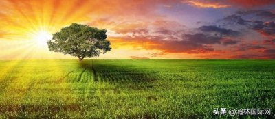 ​舒婷：这也是一切