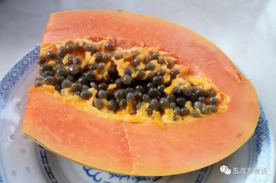 ​国内唯一的转基因水果是什么