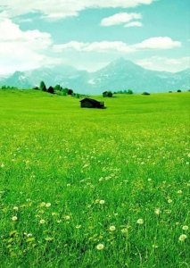 ​云南省名牌学霸中学——红河州第一中学 红河哈尼族彝...