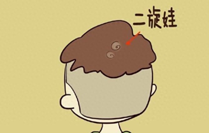 头上的旋有什么讲究,越多越聪明?其实智商跟这4个因素有关