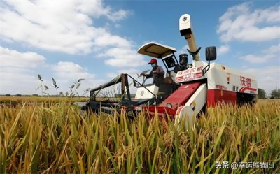 ​“三夏”时节农事忙，你们知道“三夏”是什么意思吗