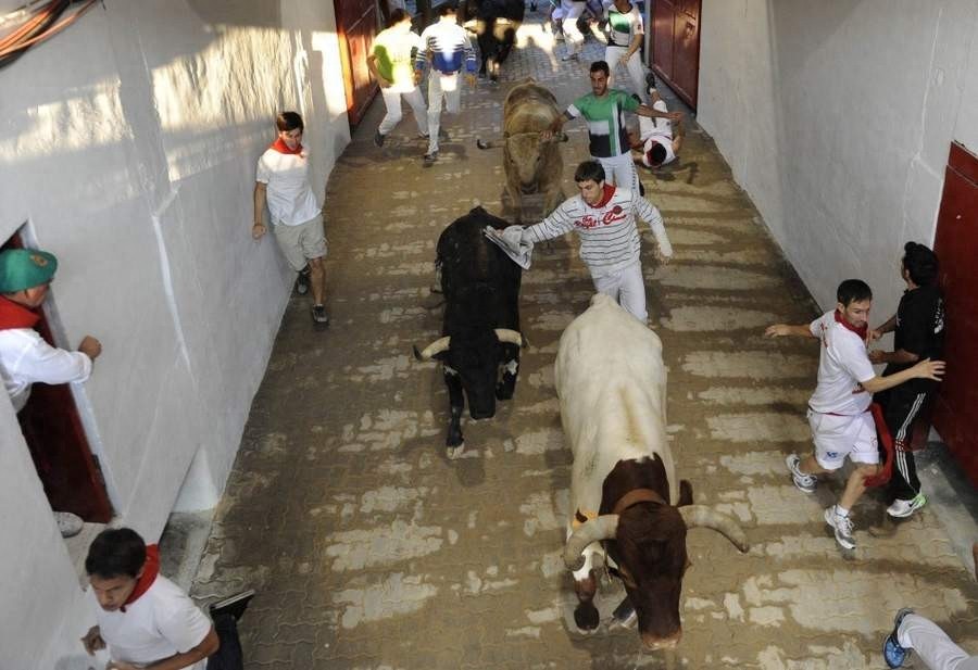 晒西班牙奔牛节 被狂牛戳穿裆部