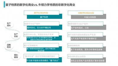​阿里巴巴提出的“量子化战略”是什么？